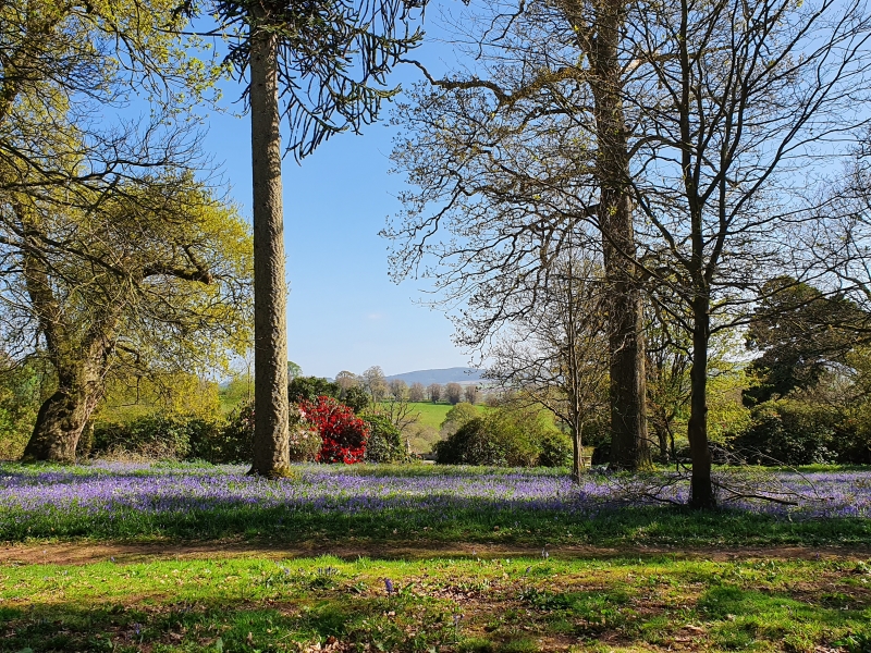 Shobrooke Park Gardens